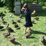 Duck Dance
