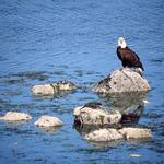 Eagle Rock