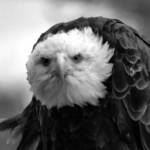 Looking at me