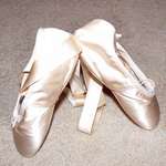 The Enchanted slippers