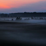Evening Fog
