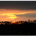 Everglades Sunset