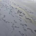 Everyones Footprints