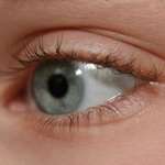 Eye