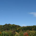 Fall along Route 76