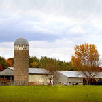 Fall at the Farm