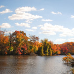 Fall Foliage 1 9