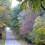 Shenandoah Valley - Fall