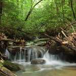 Waterfalls