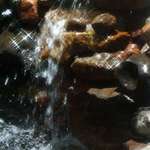 Falls