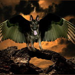 Wings