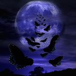 Misty Moon Light