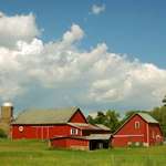 Farm