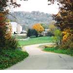 Farm Scene