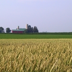 Farm as Flag
