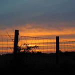 Fence
