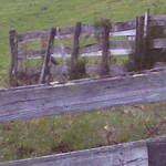 fence