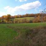 Field of Color