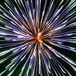 Firework Nova