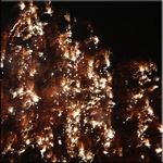 Falling Fire