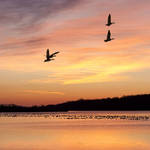 First Light