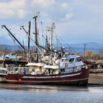 Fishing Boat at Low Tide on Fraser River