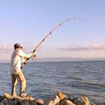 Snagging a Big One