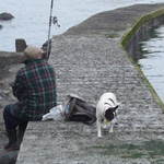 Man And His Dog