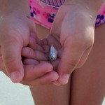 Fishy