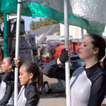 Flag Carriers