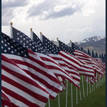 Row of Flags