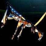 Very Old Glory
