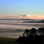 Misty Mood Morning