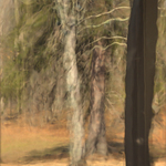 Float Glass Reflection 3