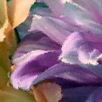 Floral under glass