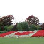Floral Canadian Flag at the Border