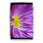 purple flower 2