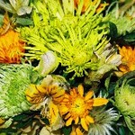 Flower arangement