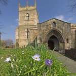 Flower and church