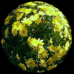 Yellow Vision Sphere