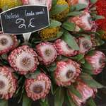 At the Market