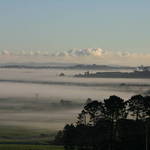 Still Mist
