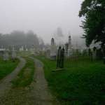 Fog