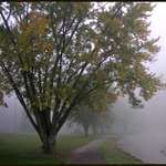 Lake Junaluska in Fog