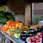 Fruit Market