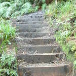 Stairway of Pain