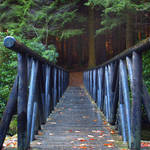I'll cross that bridge when I come to it