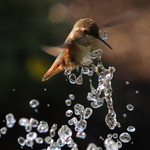 Fountain10