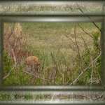 I Can See You , but You Can't See Me (Can you?)!