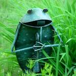 Frog Song